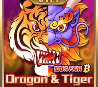 Dragon & Tiger — game at Cuci666
